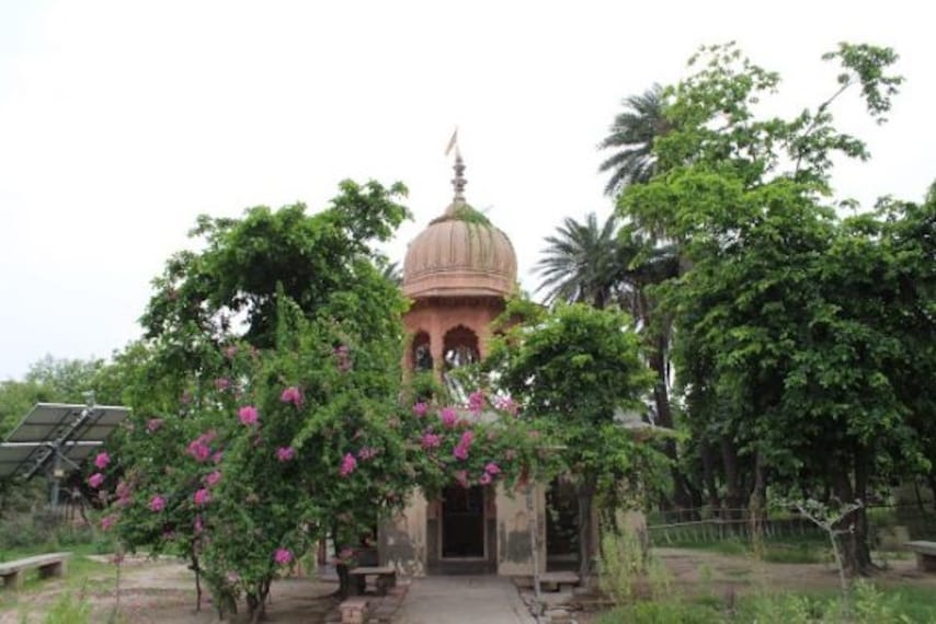 Keoladeo National Park-4